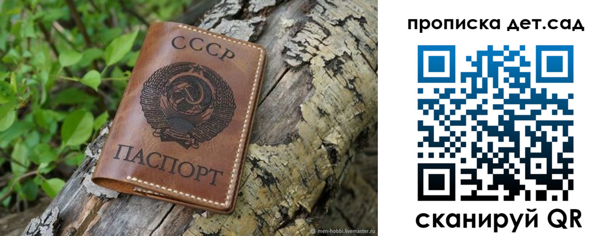 прописка иностранных граждан в Полярных Зорях
